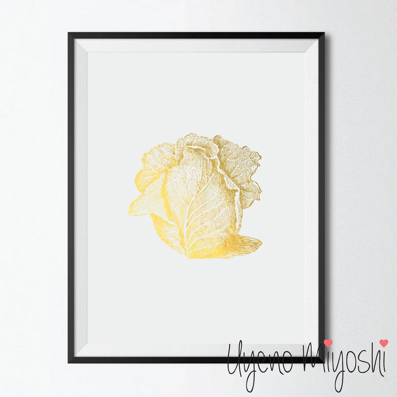 Vegetable - Cabbage