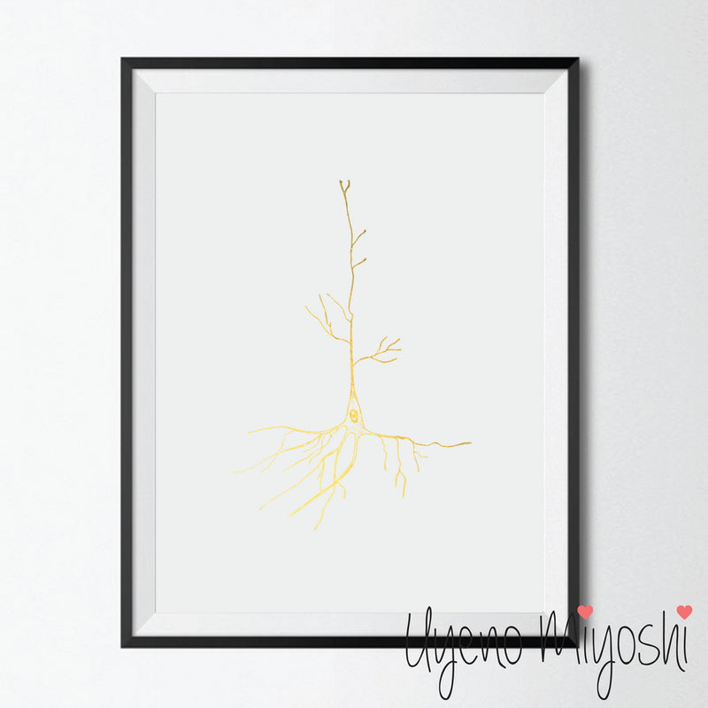 Neuron I