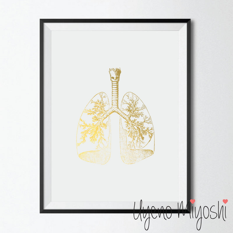 Human Lung II
