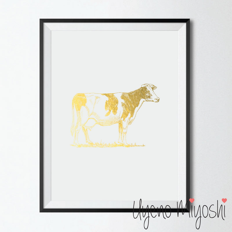 Cow III