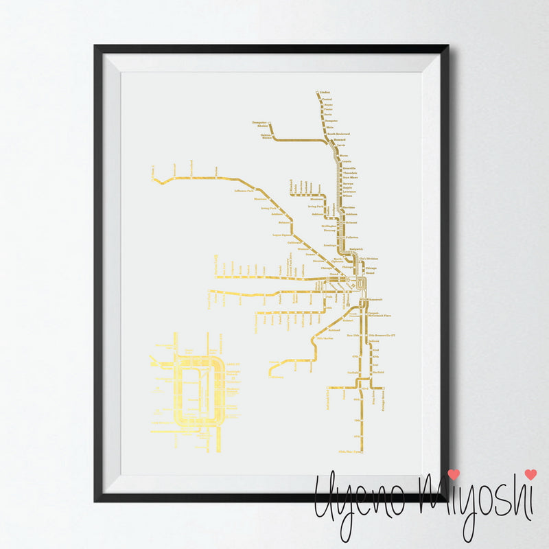 Chicago Metro Map