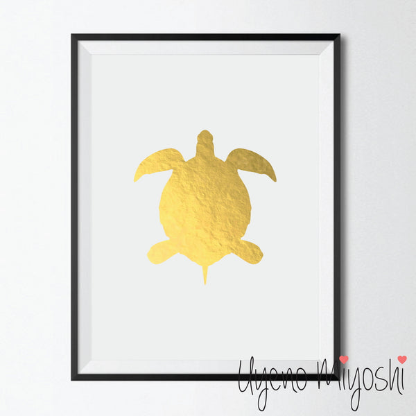 Turtle I