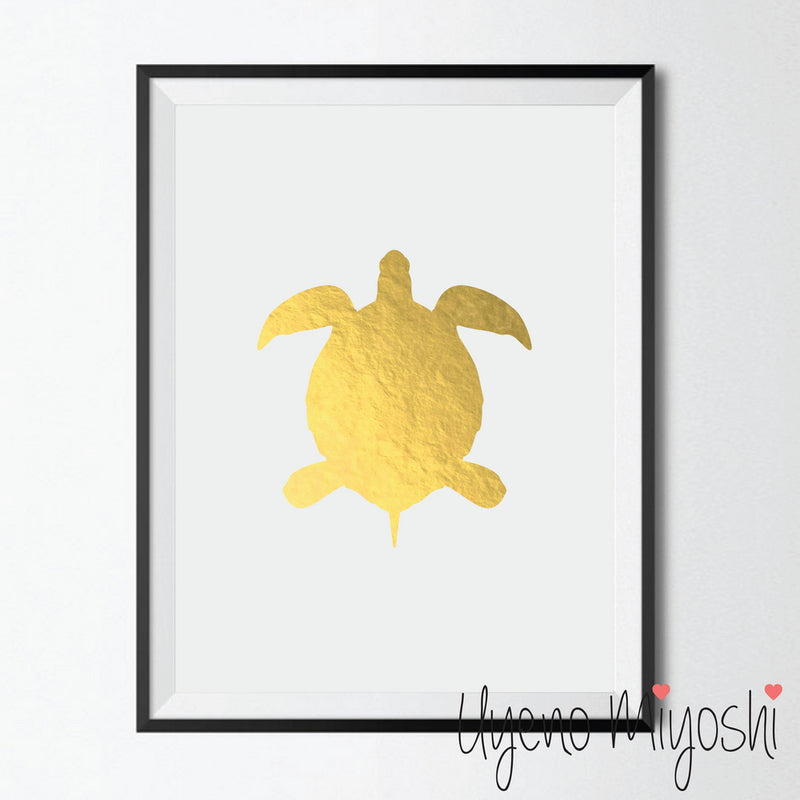 Turtle I