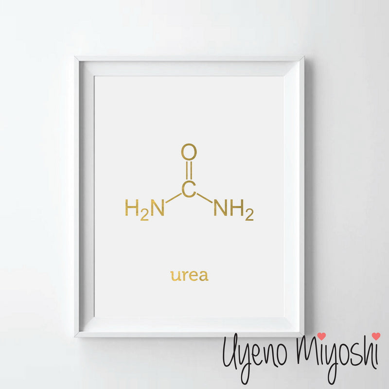 Chemical Molecule - Urea