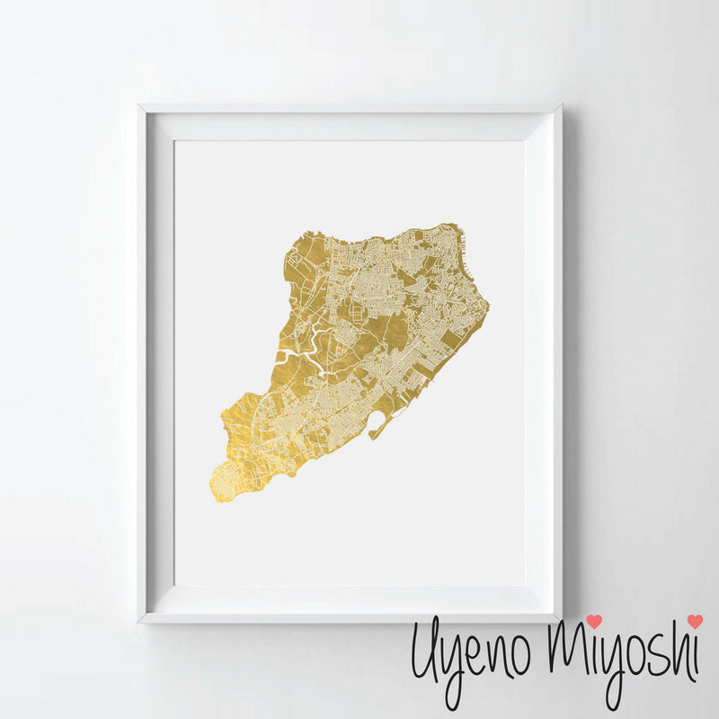 Staten Island Street Map