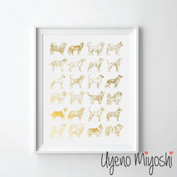 Dog Breeds IV