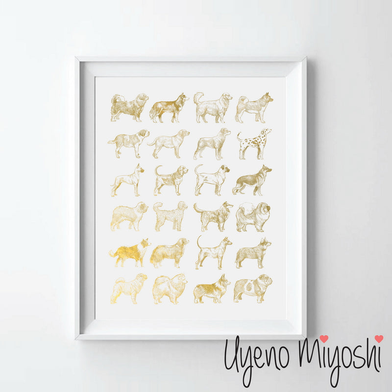 Dog Breeds IV