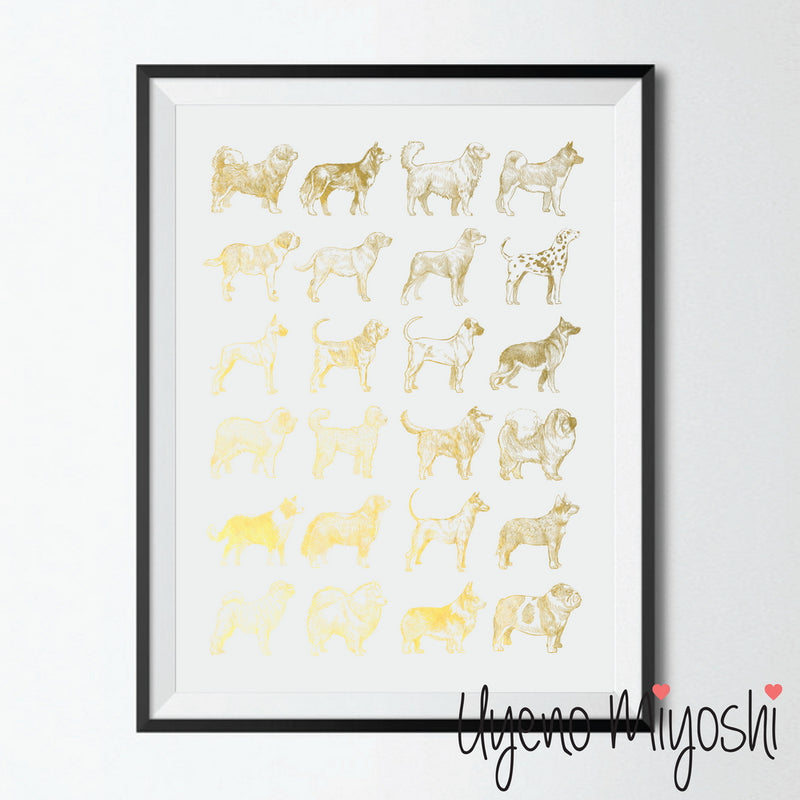 Dog Breeds IV