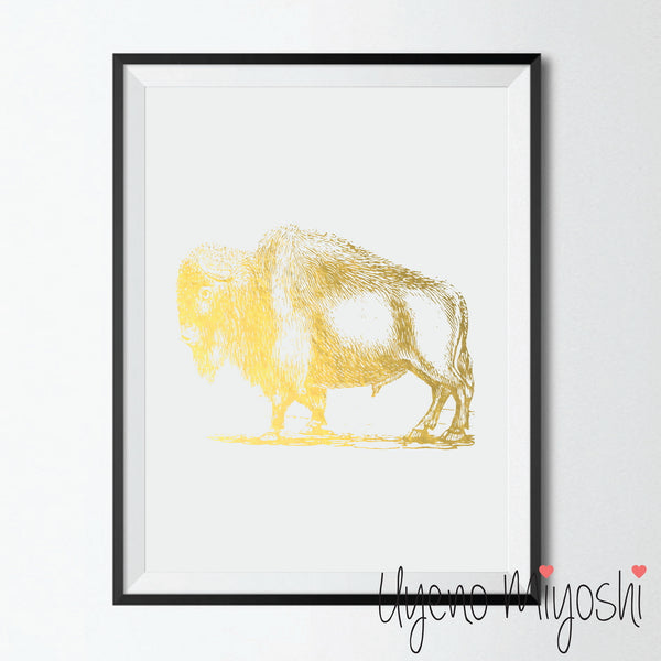 Bison