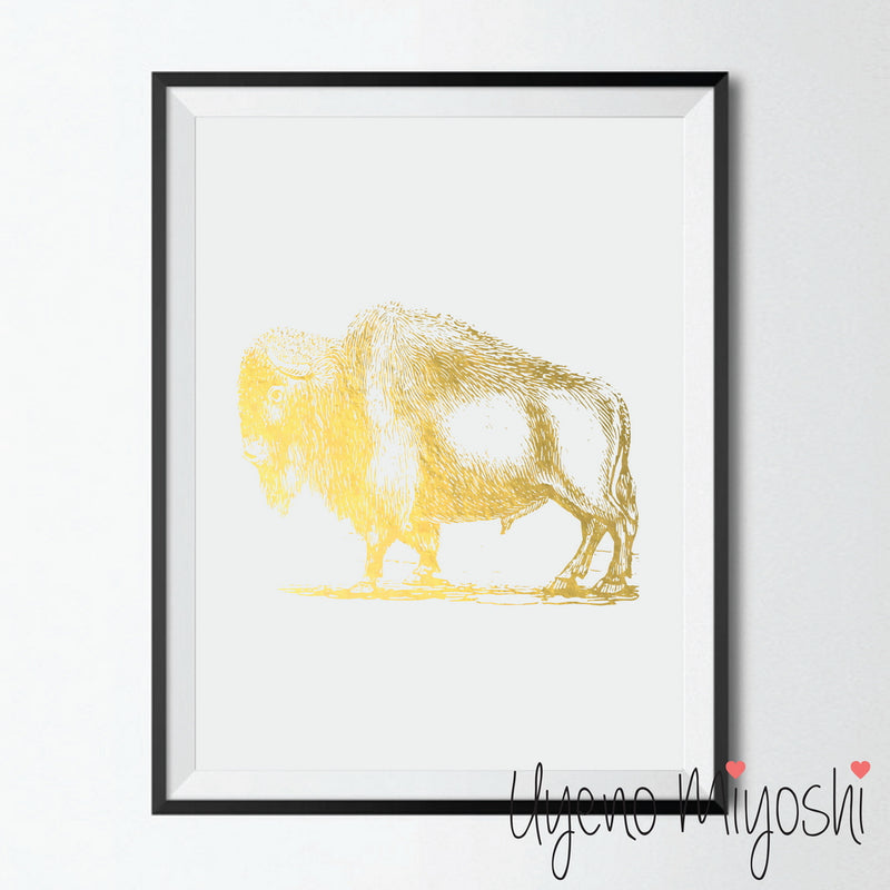 Bison