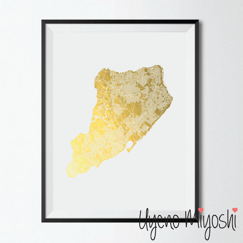 Staten Island Street Map