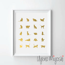 Cat Breeds