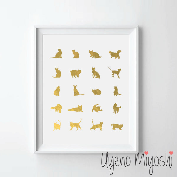 Cat Breeds