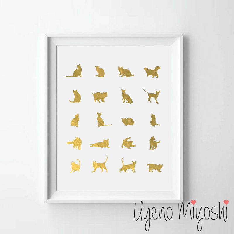 Cat Breeds