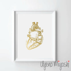 Human Heart I