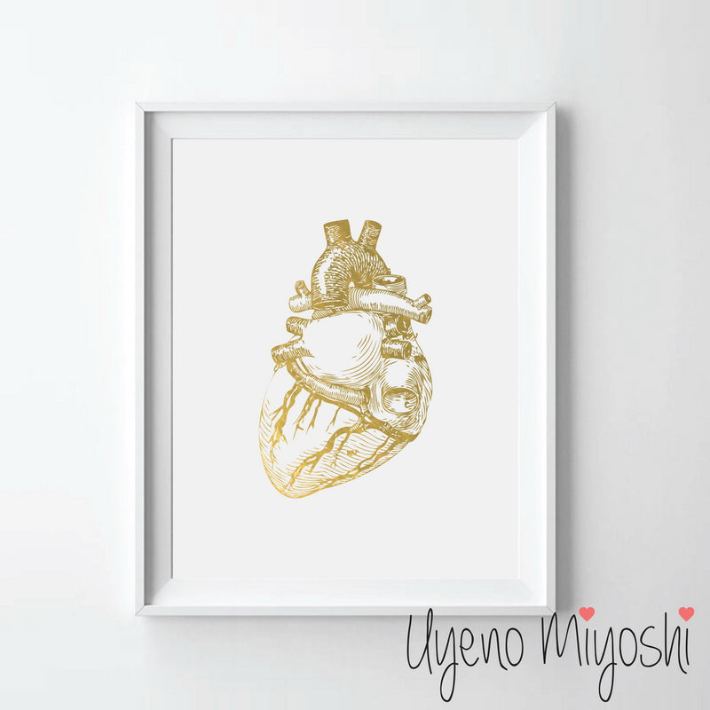 Human Heart I