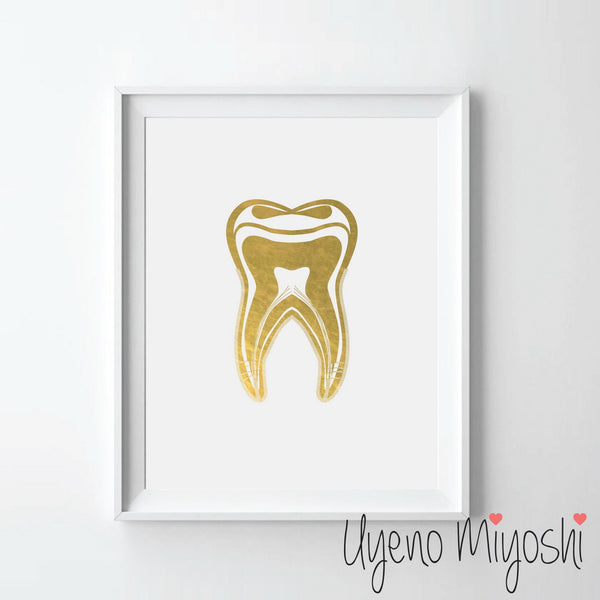 Human Tooth II