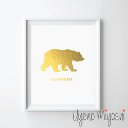California Bear