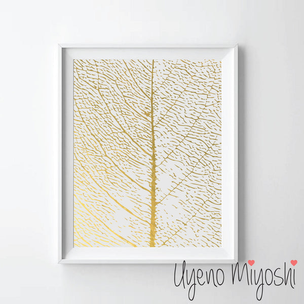 Leaf Fossil
