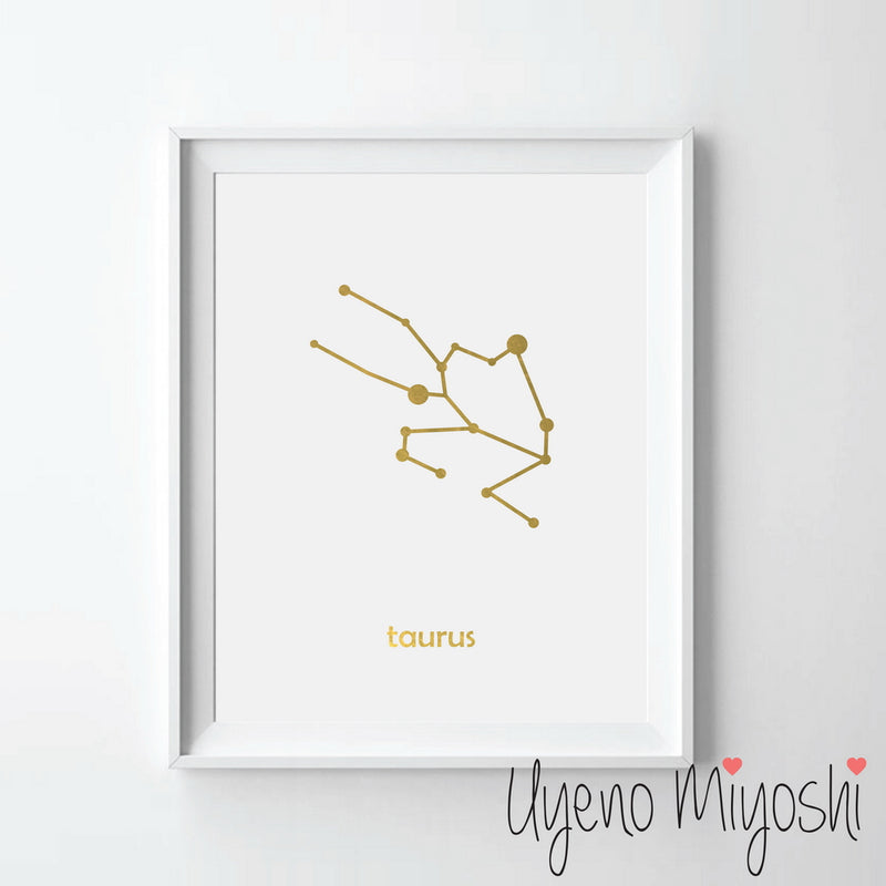 Constellation - Taurus