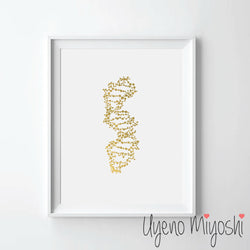 DNA I