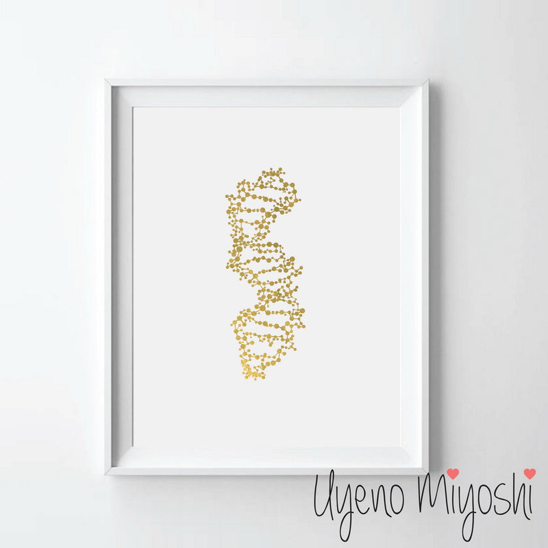 DNA I
