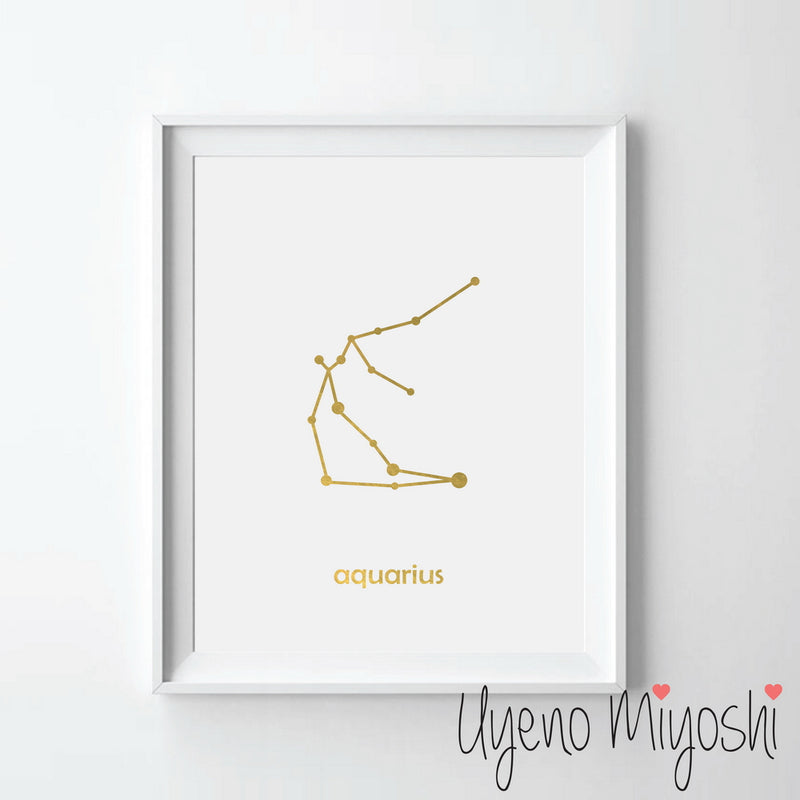 Constellation - Aquarius