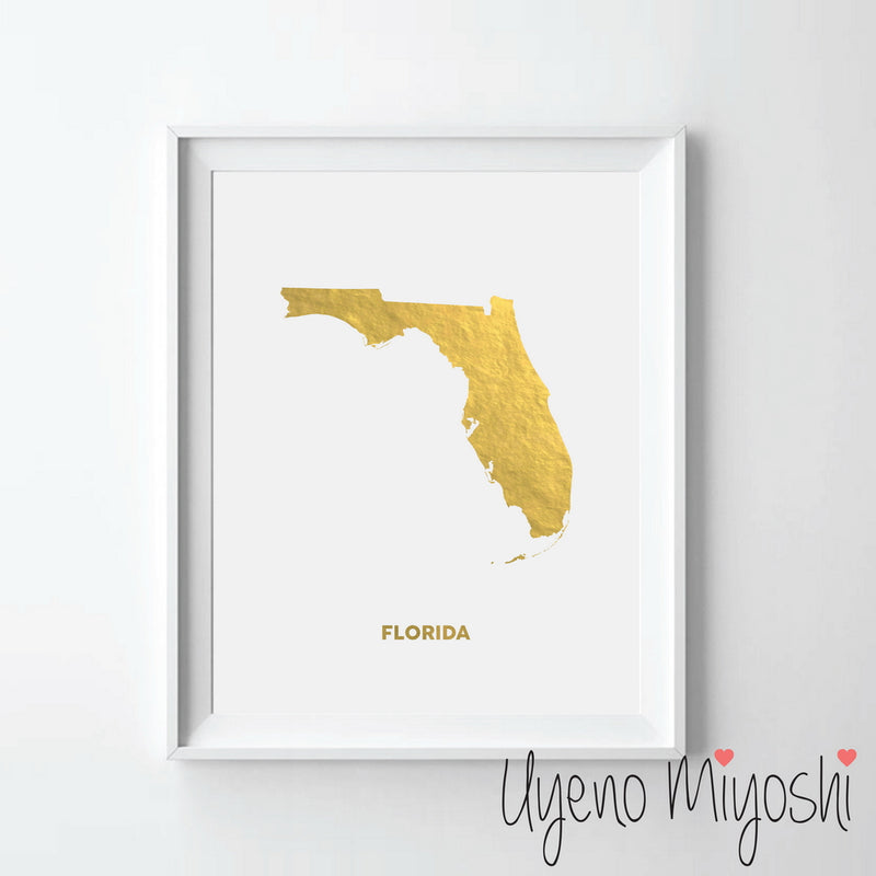 Map - Florida