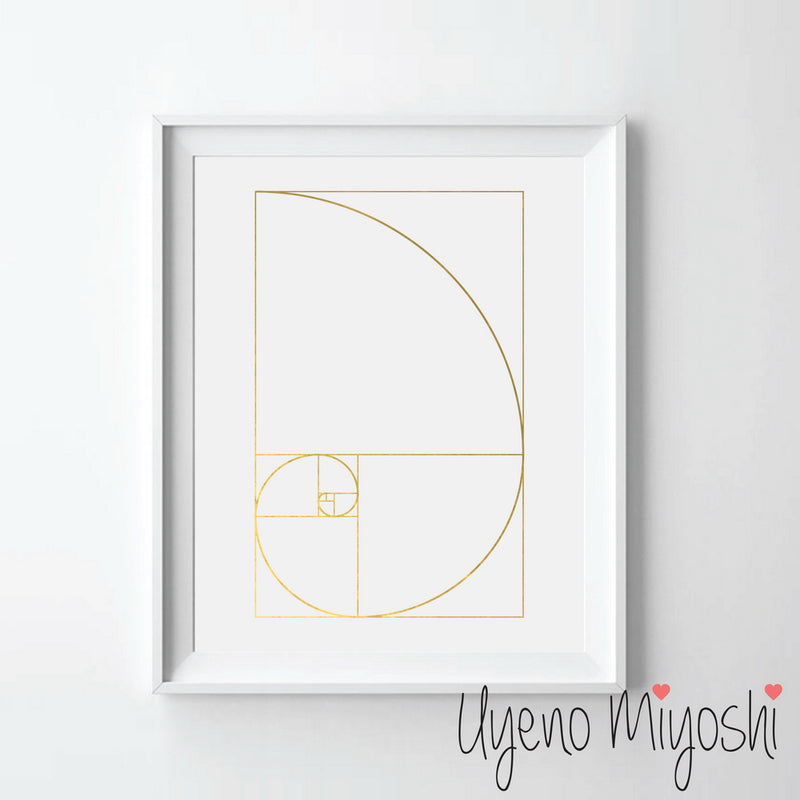 Fibonacci Spiral