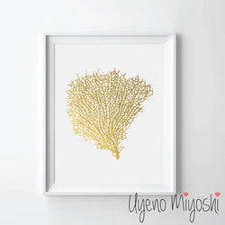 Sea Coral I