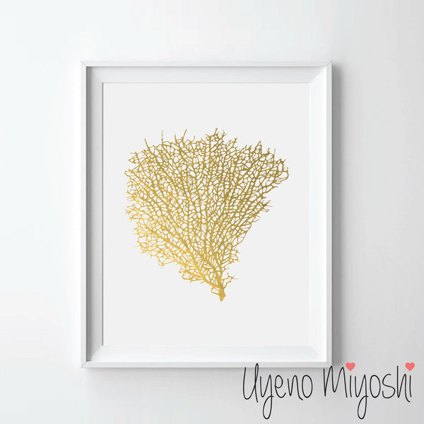 Sea Coral I