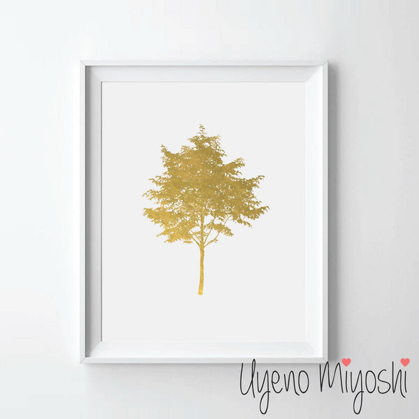 Maple Tree
