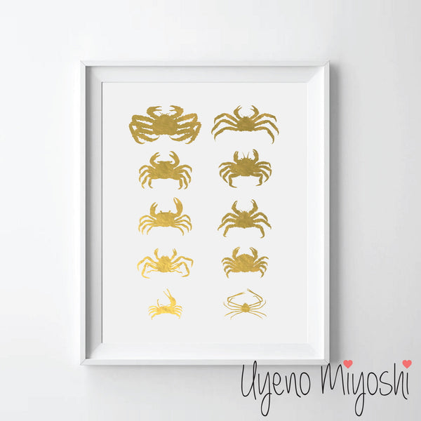 Crab Types