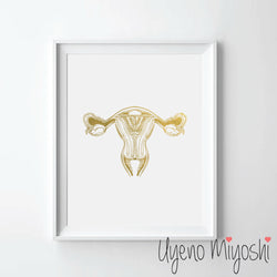 Female Reproductive System