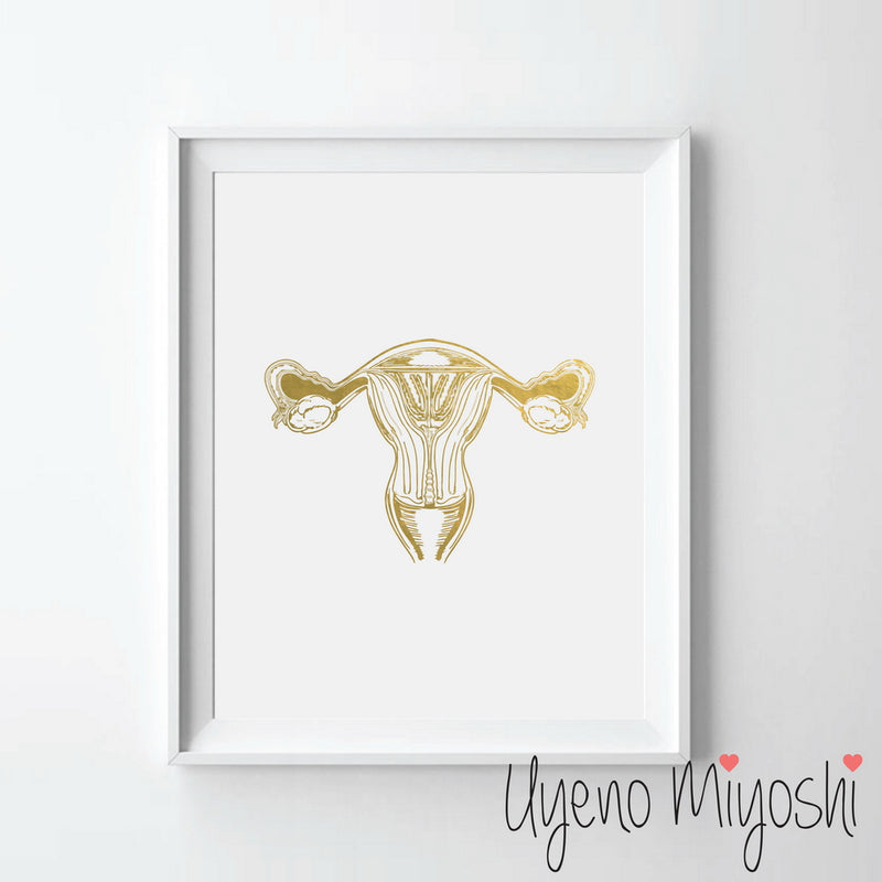 Female Reproductive System