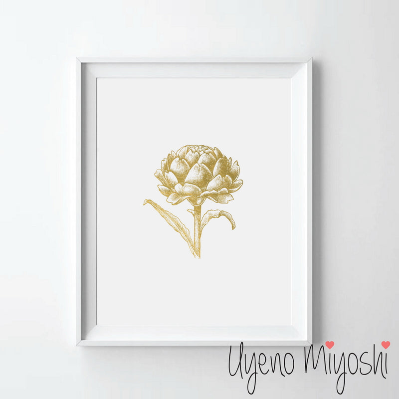 Vegetable - Artichoke