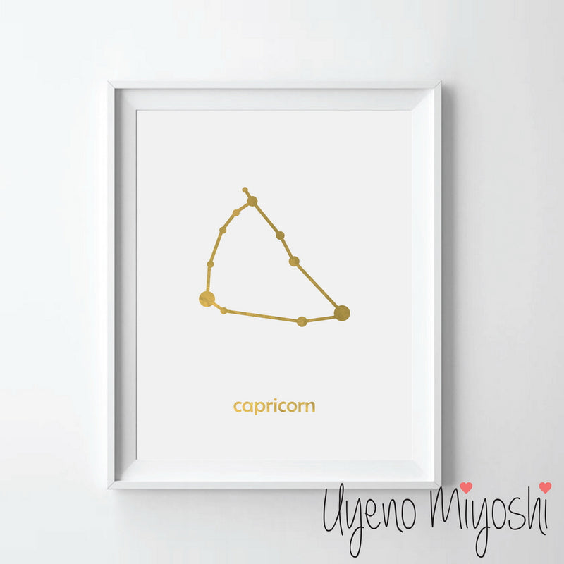 Constellation - Capricorn
