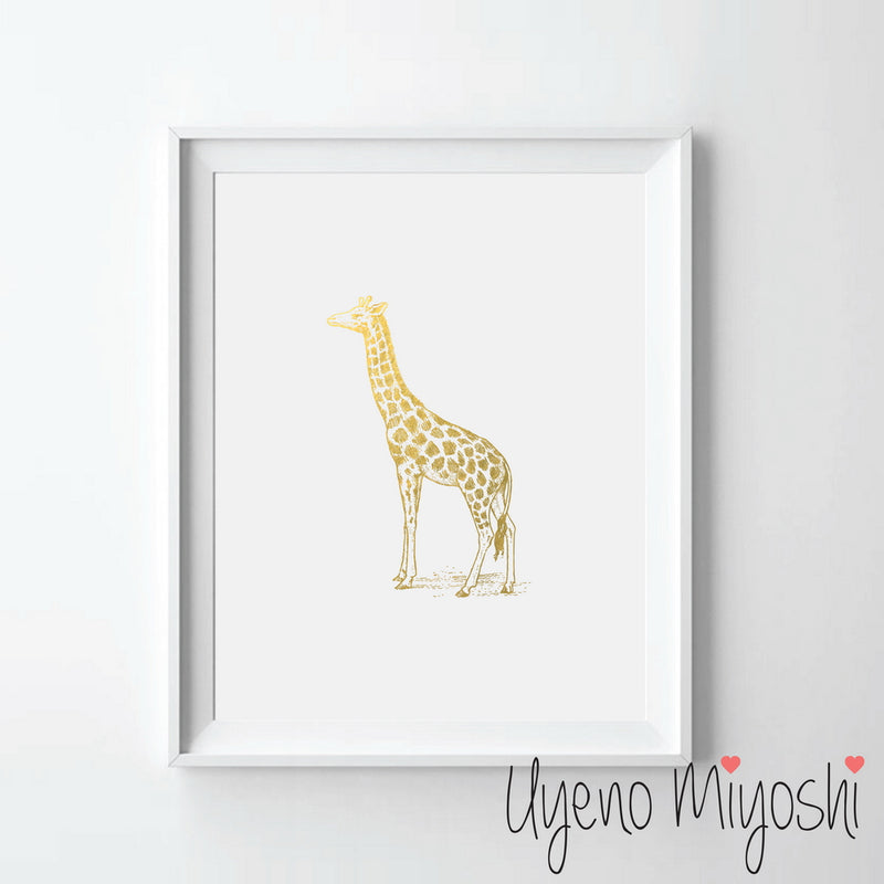 Giraffe
