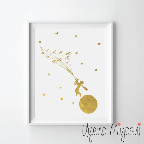 The Little Prince I