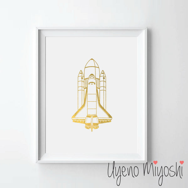 Spaceship
