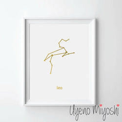 Constellation - Leo