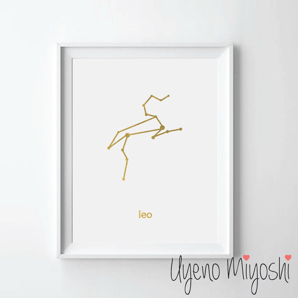 Constellation - Leo