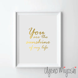 You Are the Sunshine of My Life