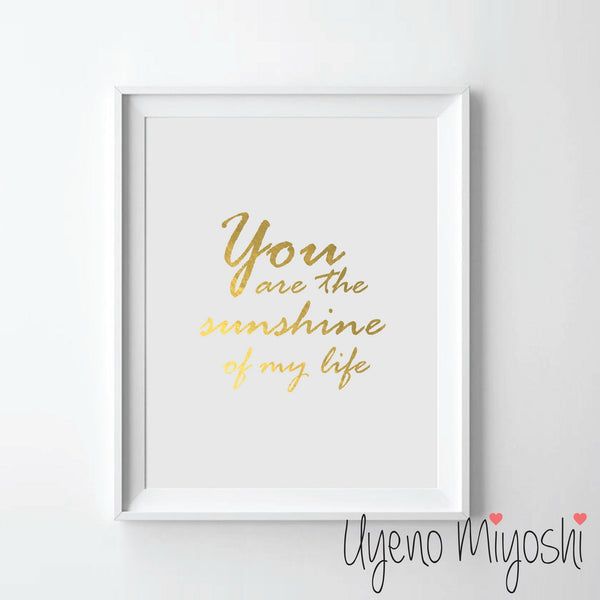 You Are the Sunshine of My Life