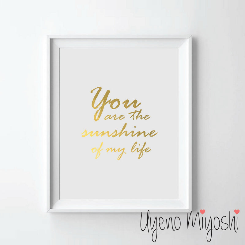 You Are the Sunshine of My Life