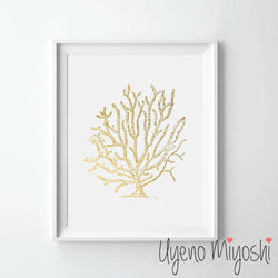 Sea Coral II