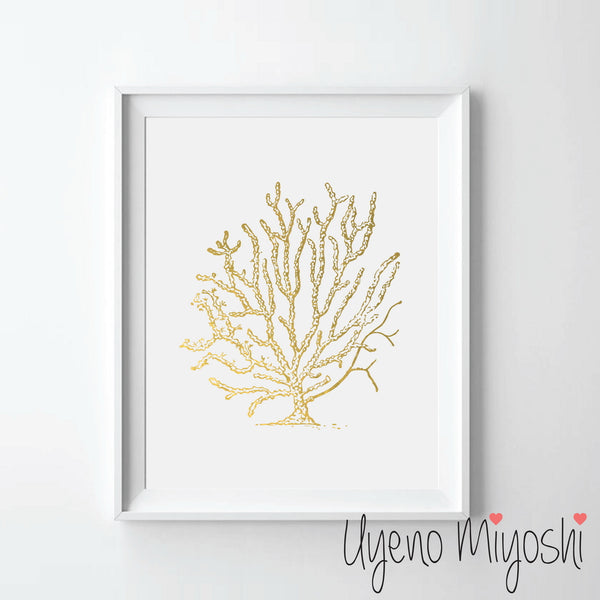 Sea Coral II