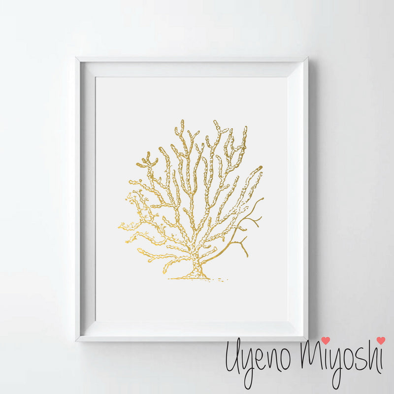 Sea Coral II