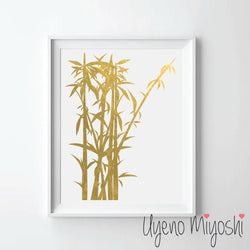 Bamboo