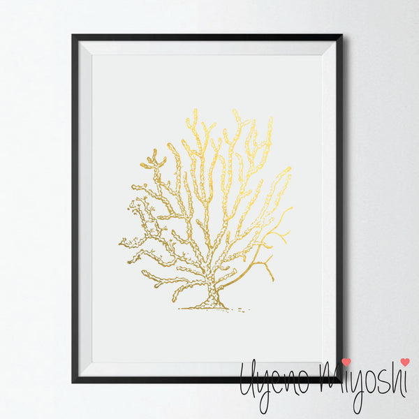 Sea Coral II